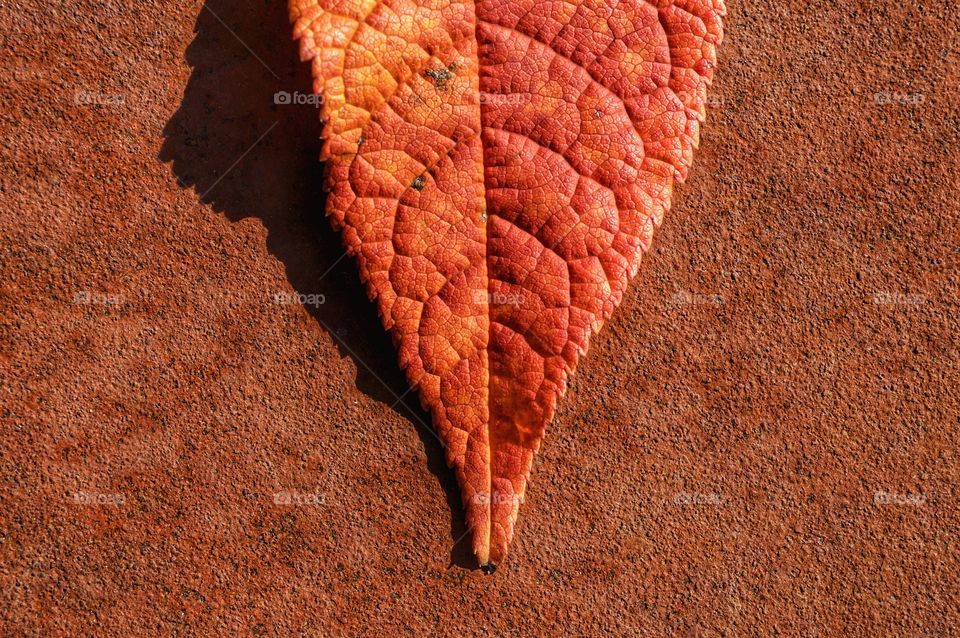 Desktop, Texture, Abstract, No Person, Dry