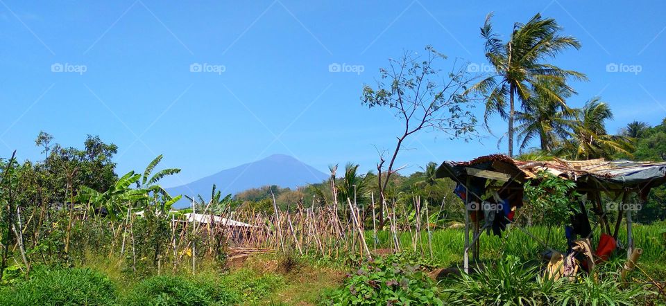 View of plantations and mountains from a distance