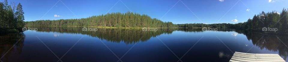 Forest and Lake