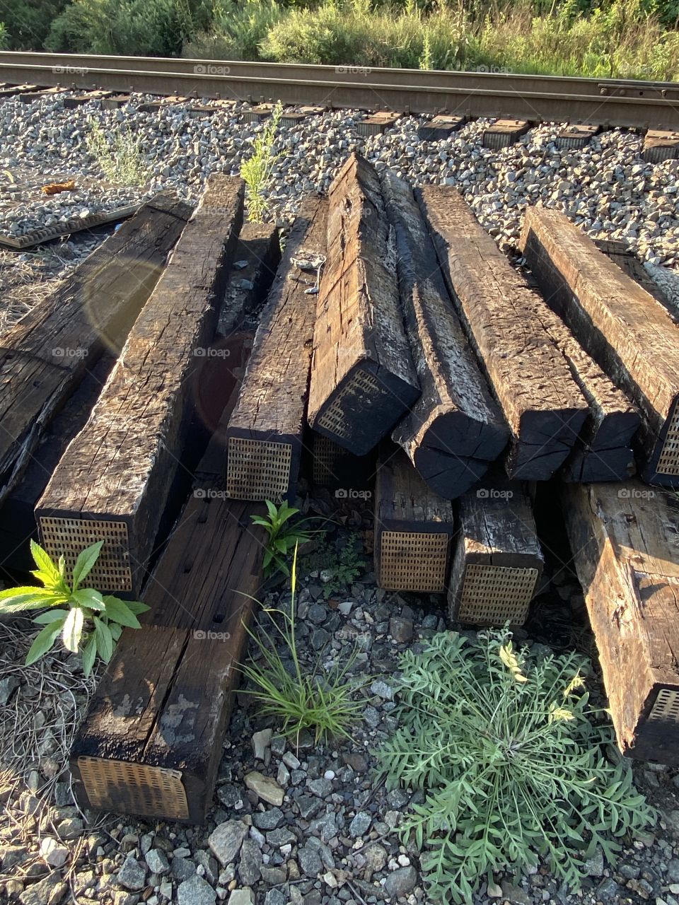 The power of commerce 