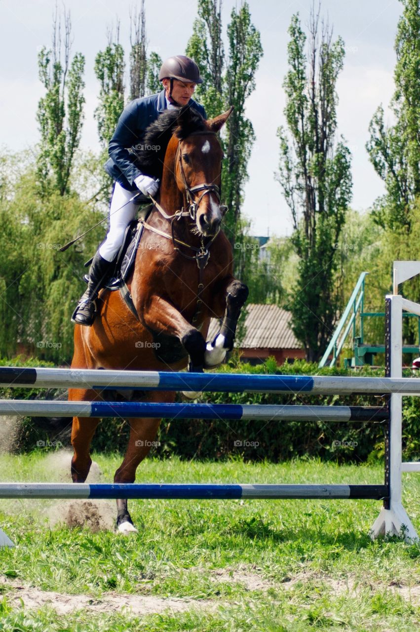 Rider jumping over hurdle during competition