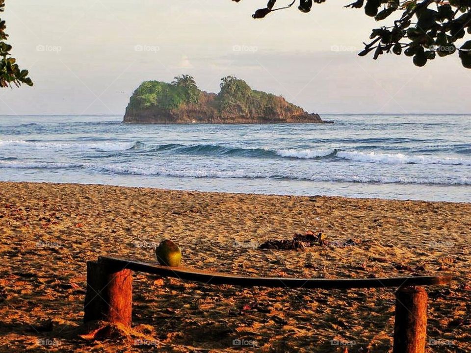 Bench with a view 