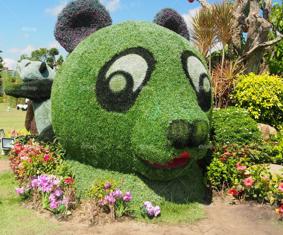 Close up of panda bear topiary