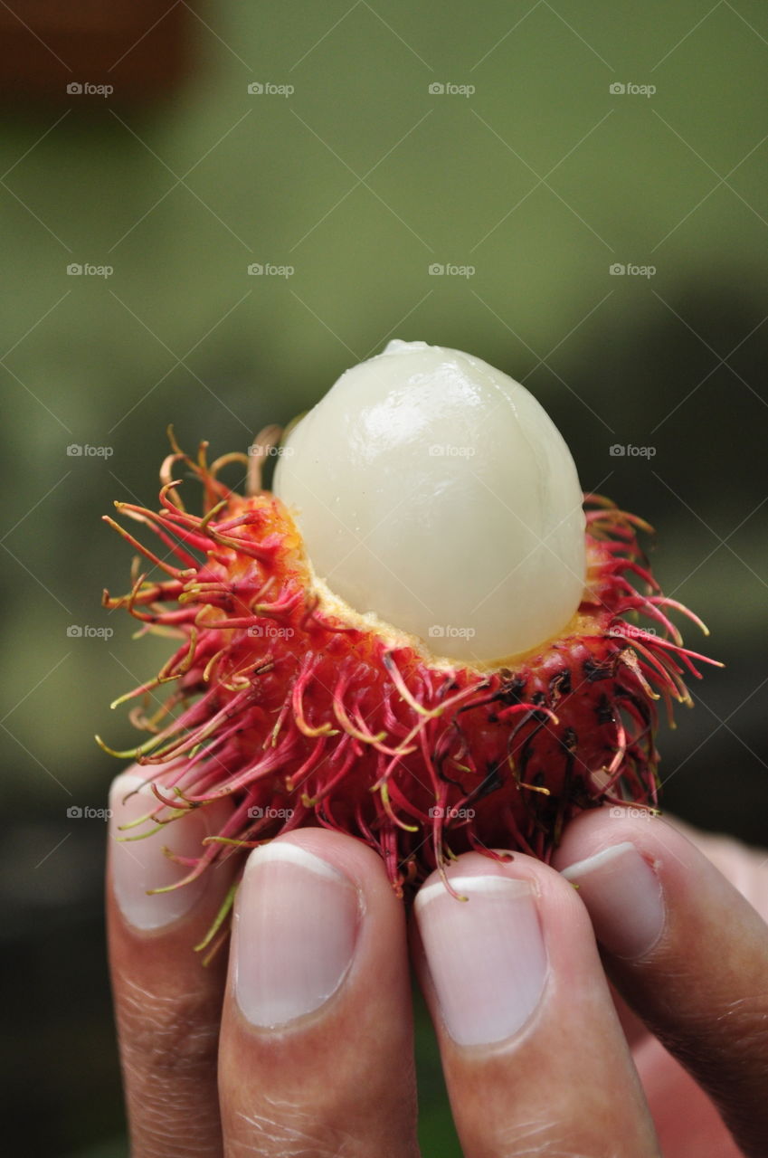 Rambutan
