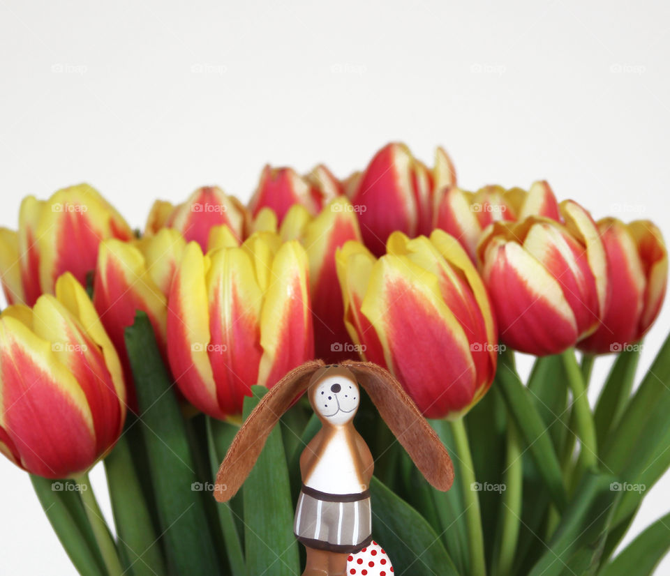 cute easter bunny with egg in front of tulips