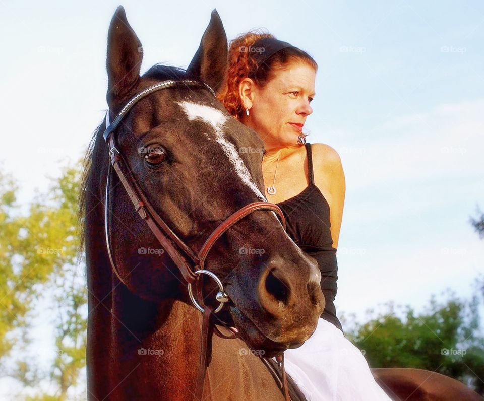 Sunset ride with his lady . A beautiful close-up of a horse and his rider on a summer evening