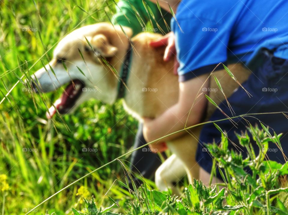 Dog with pets owner