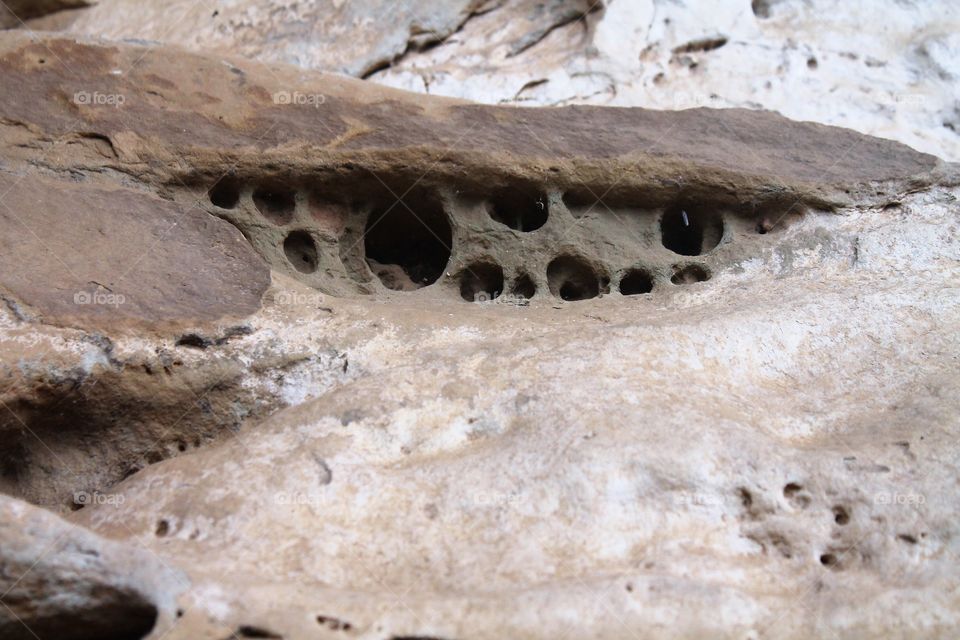 The unique formation of holes formed by years of weathering and water erosion. The resultant structure makes for ideal accomodation of small creatures and birds.