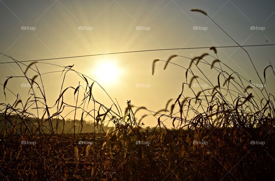 Amish Country sunset