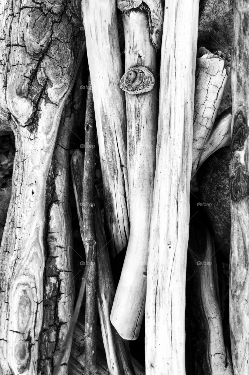 Wood