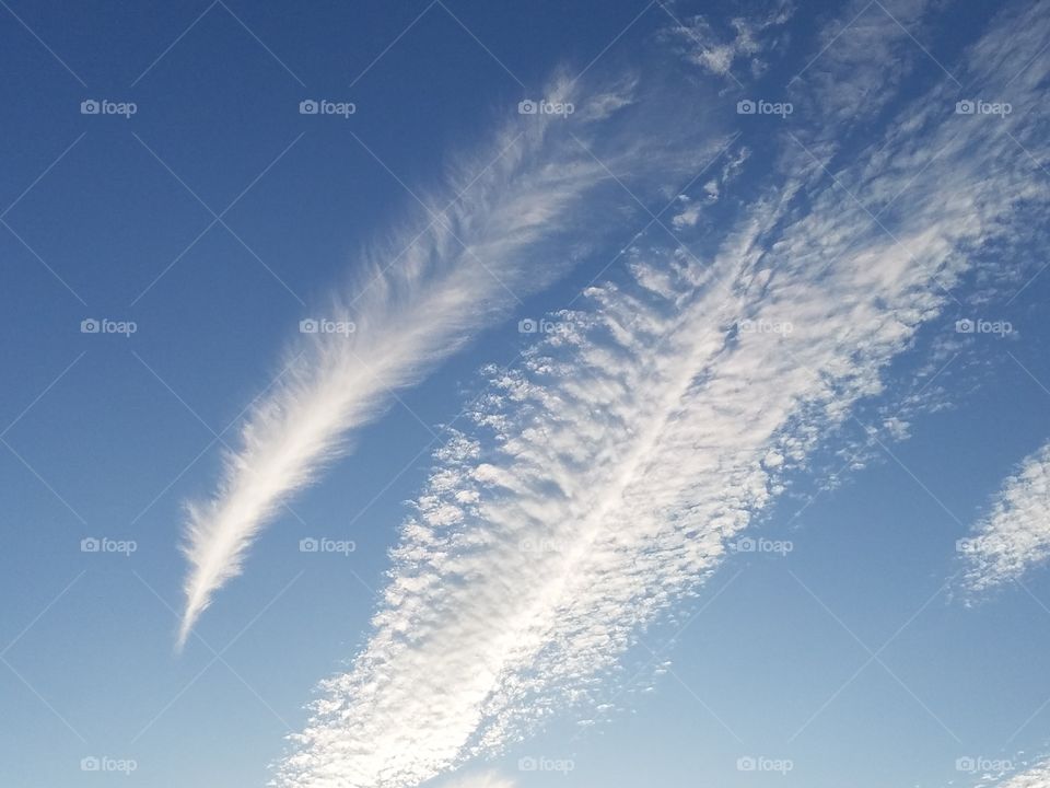 feather in the sky