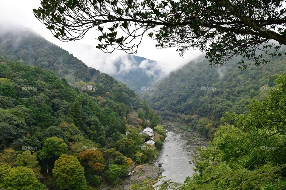 Traveling in  Kyoto, Japan