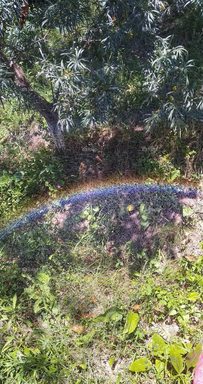 More light! More color!