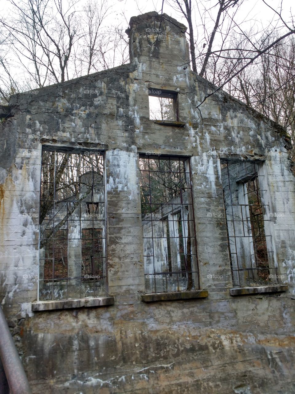 Windows of an abandoned mill building. Looking in you can see trees growing. This architectural wonder is located in Gatineau Park, Quebec, Canada.