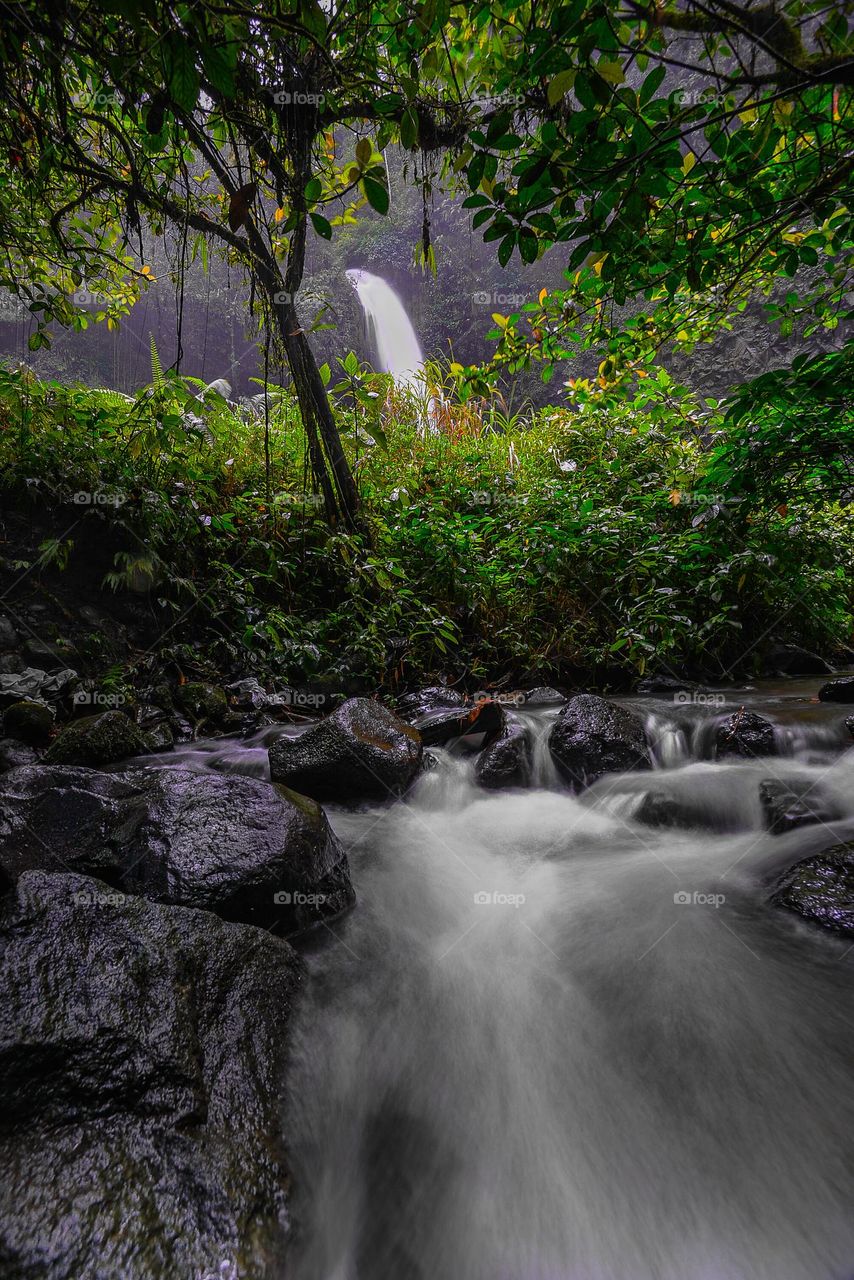 fresh water from the mountains