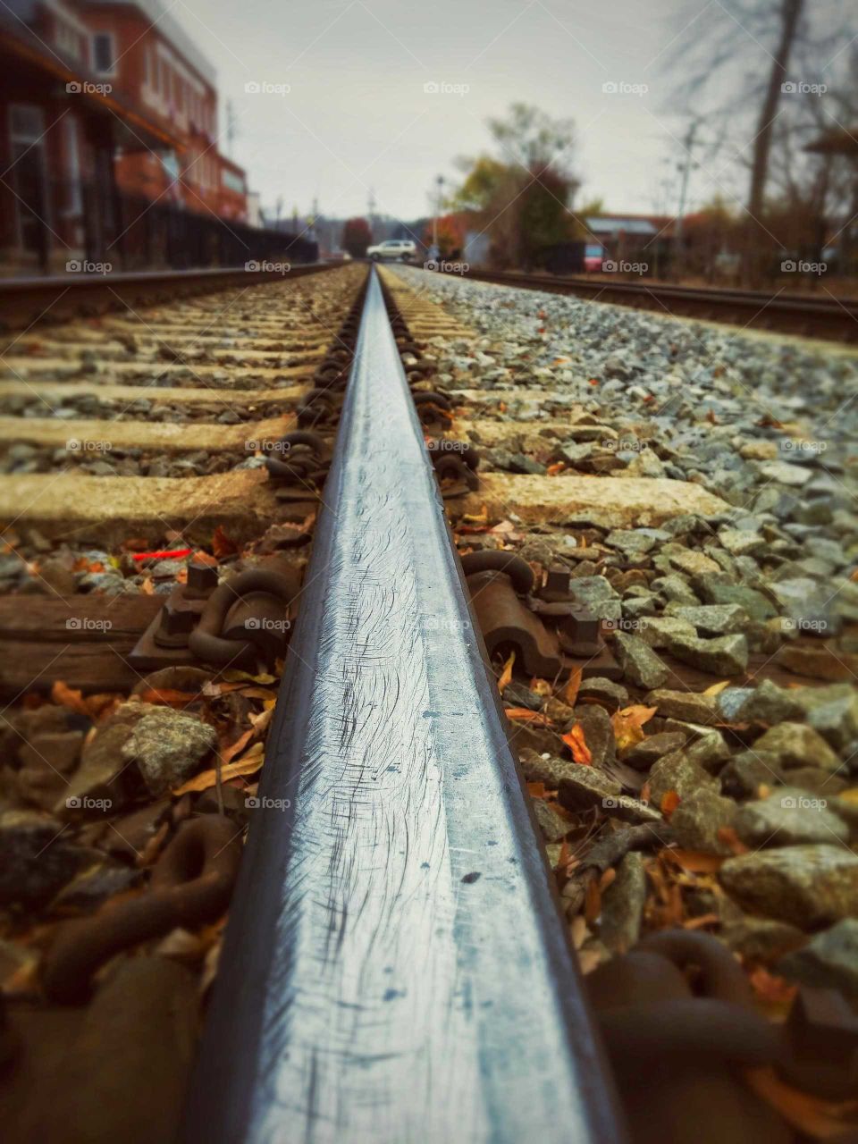 Rail, in detail