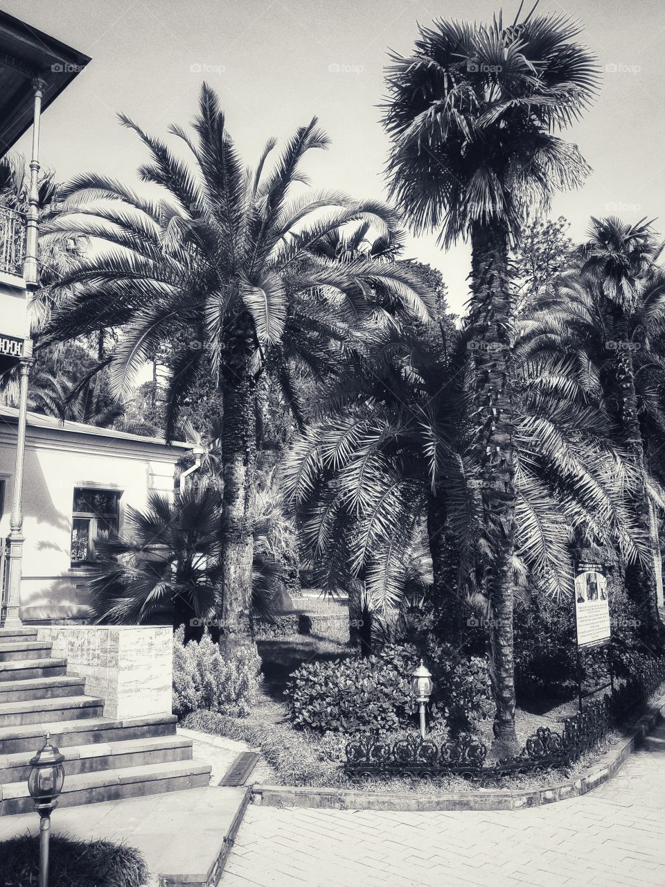 B&w architecture design view building way road decor interior exterior decoration design view beauty shades Light Black White construction palm Park castle garden plant tree bush statue