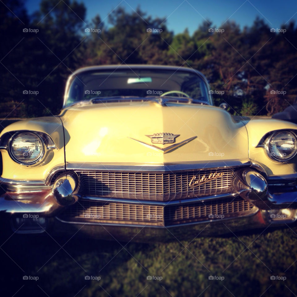 Classic Cadillac. Standard of the World.