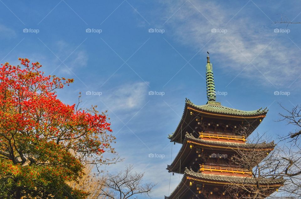 View of five-storied pagoda in Kaneiji Temple, Ueno park, Tokyo, Japan