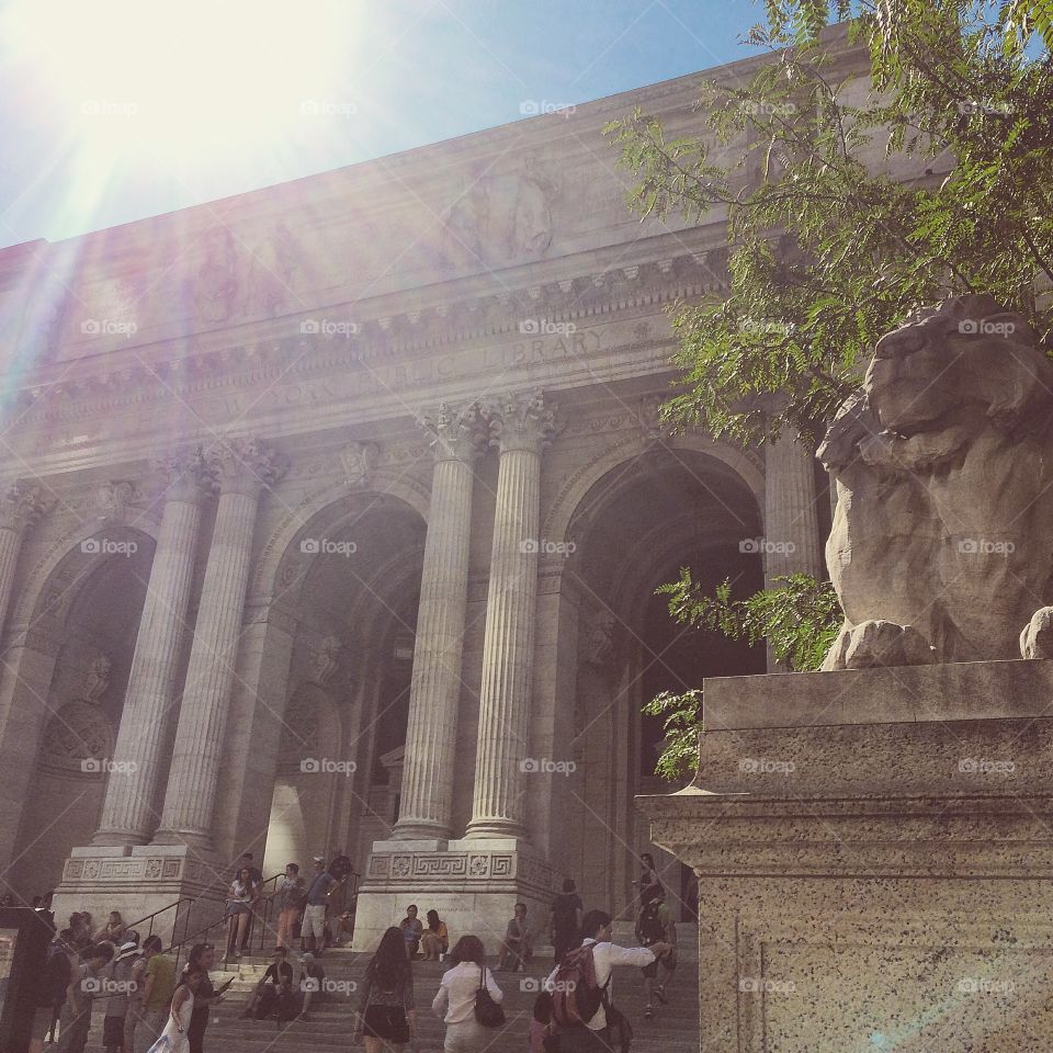 New York Public Library. The sun shines down on the famous New York public library lion and facade
