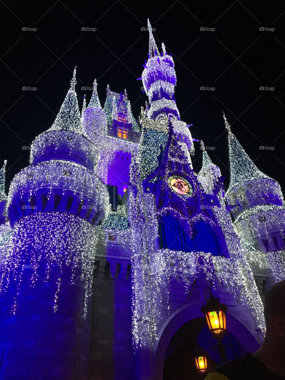 Cinderella's "frozen" Castle