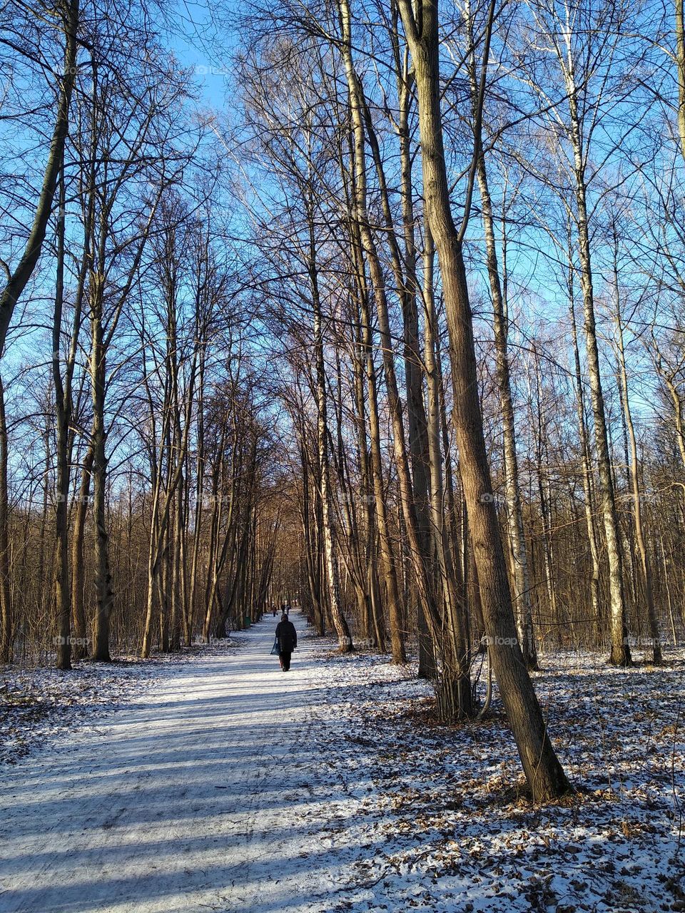 person walking in the winter park