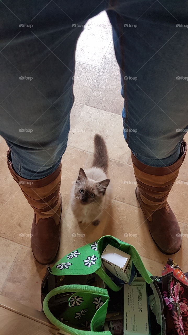 A tiny kitten standing between a pair of legs wearing boots.