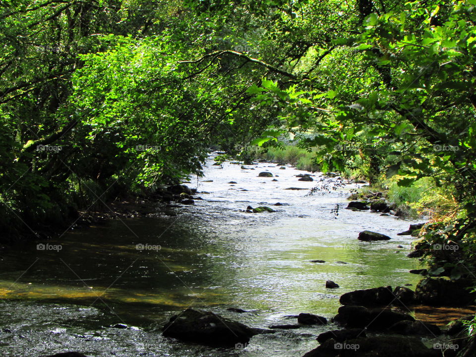 River Heddon