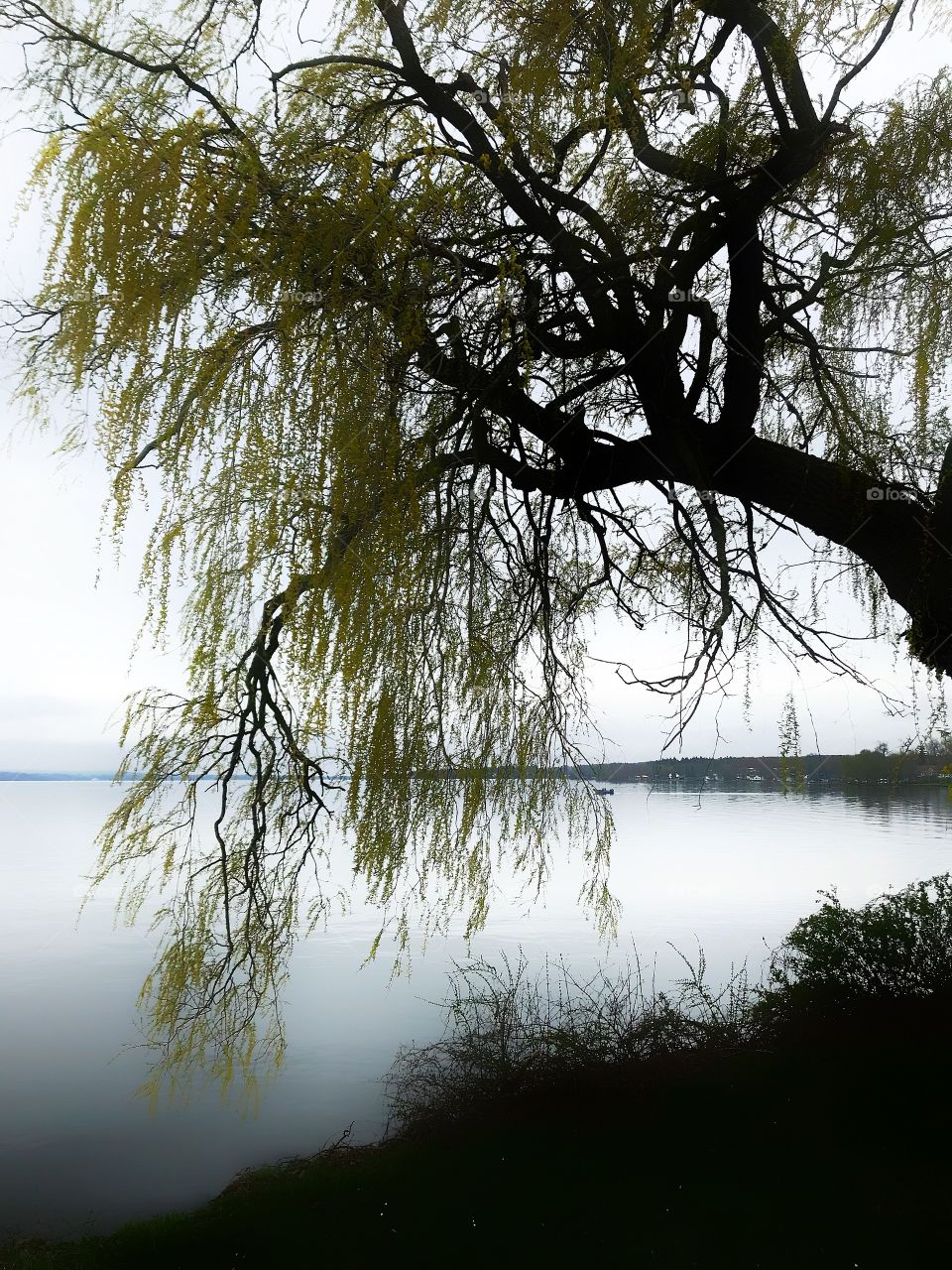 Chautauqua Lake