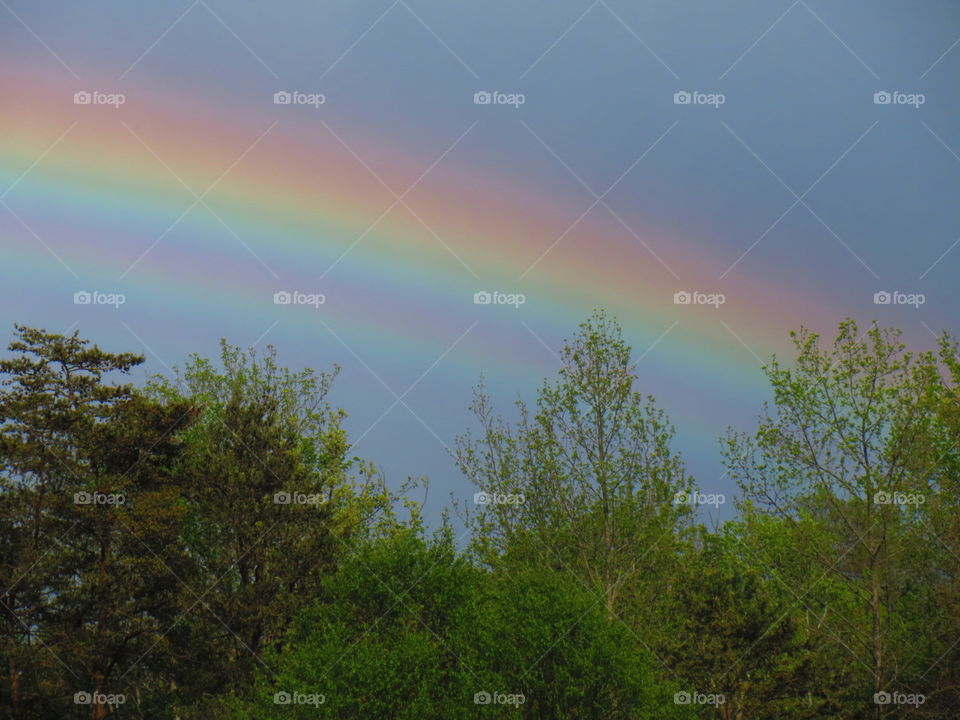 Rainbow. Spectrum After Rain