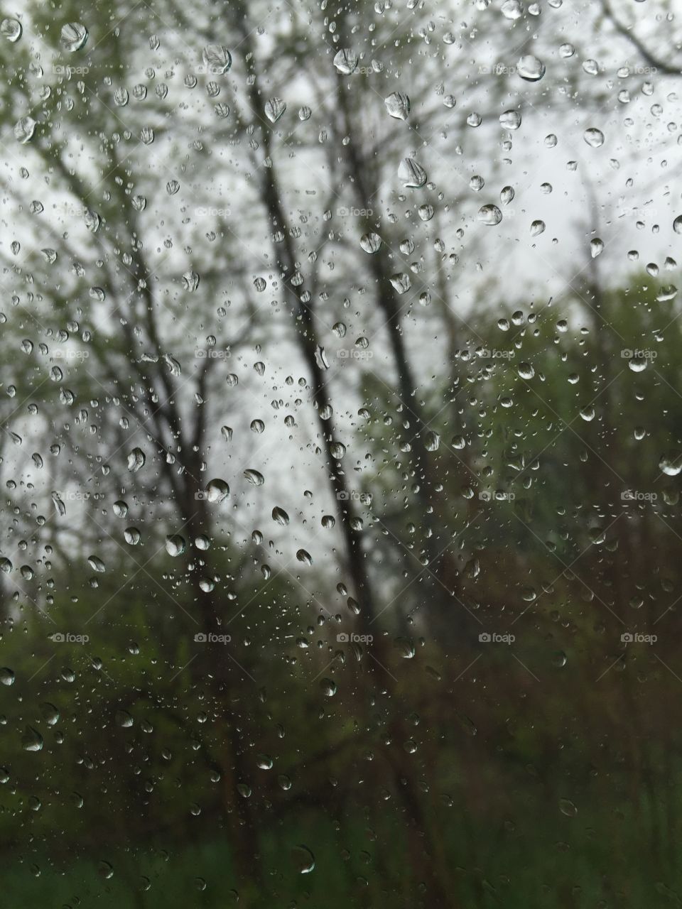 A day in Michigan with rain glistening upon a window  