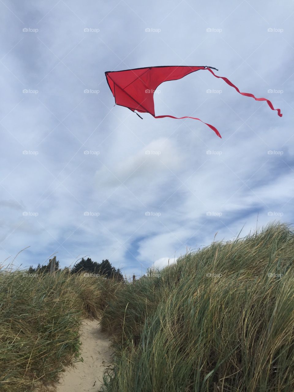 Red Kite. Blue Skies. Oregon Coast. Manzanita. 