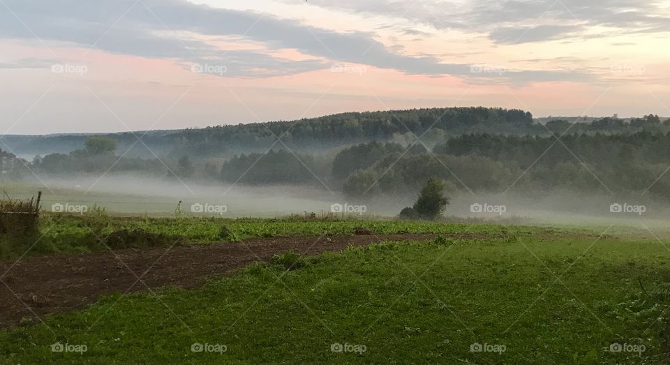 Beautiful view with fog, field, forest and sky