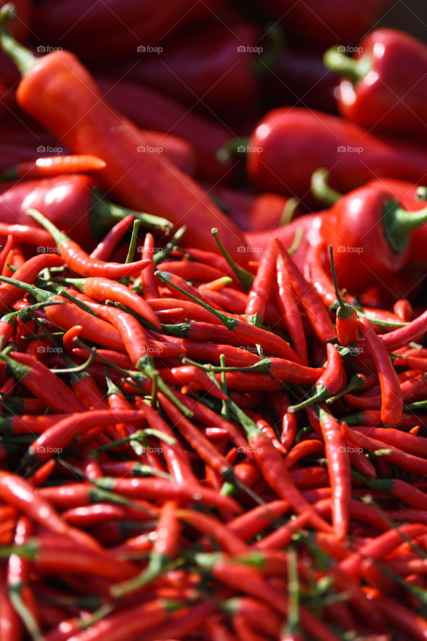 frsh vegetable,red pepper. hot red chilli,spice