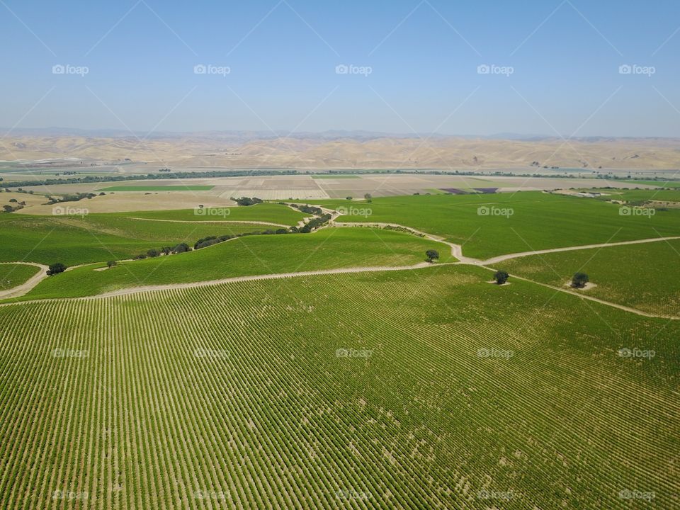 Agriculture, No Person, Landscape, Cropland, Countryside