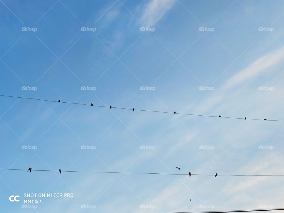 antenna and power lines series