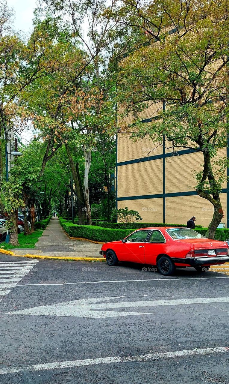 El camino