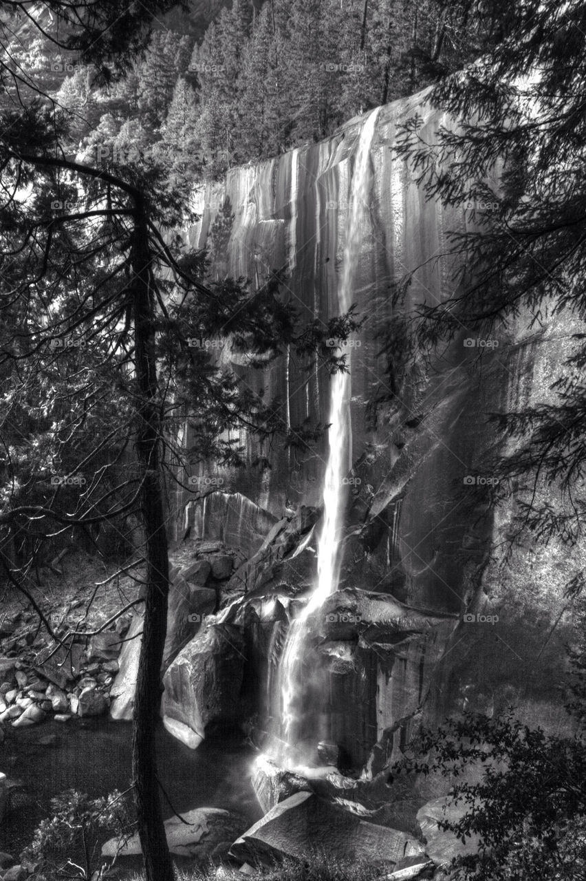 nature tree park waterfall by perfexeon