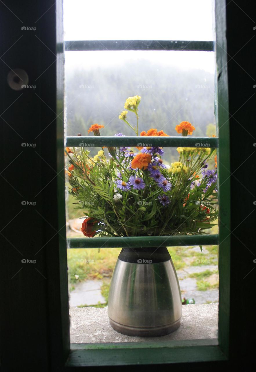 Flowers on the window