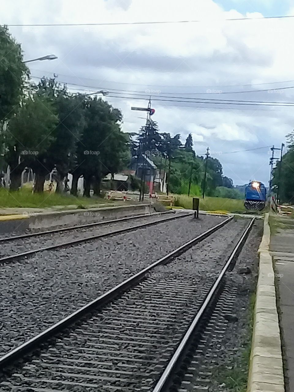 tren arribando a la estación de un pueblo rural.
