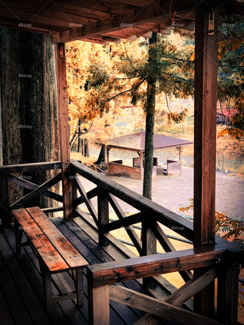 beautiful cabin in centre of forest