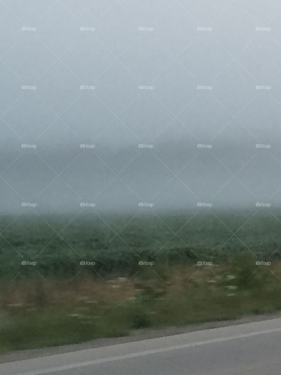 Foggy scenery