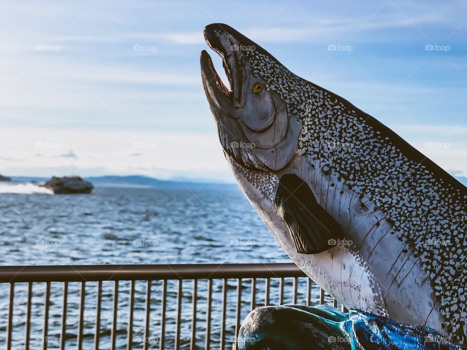 Seattle salmon 