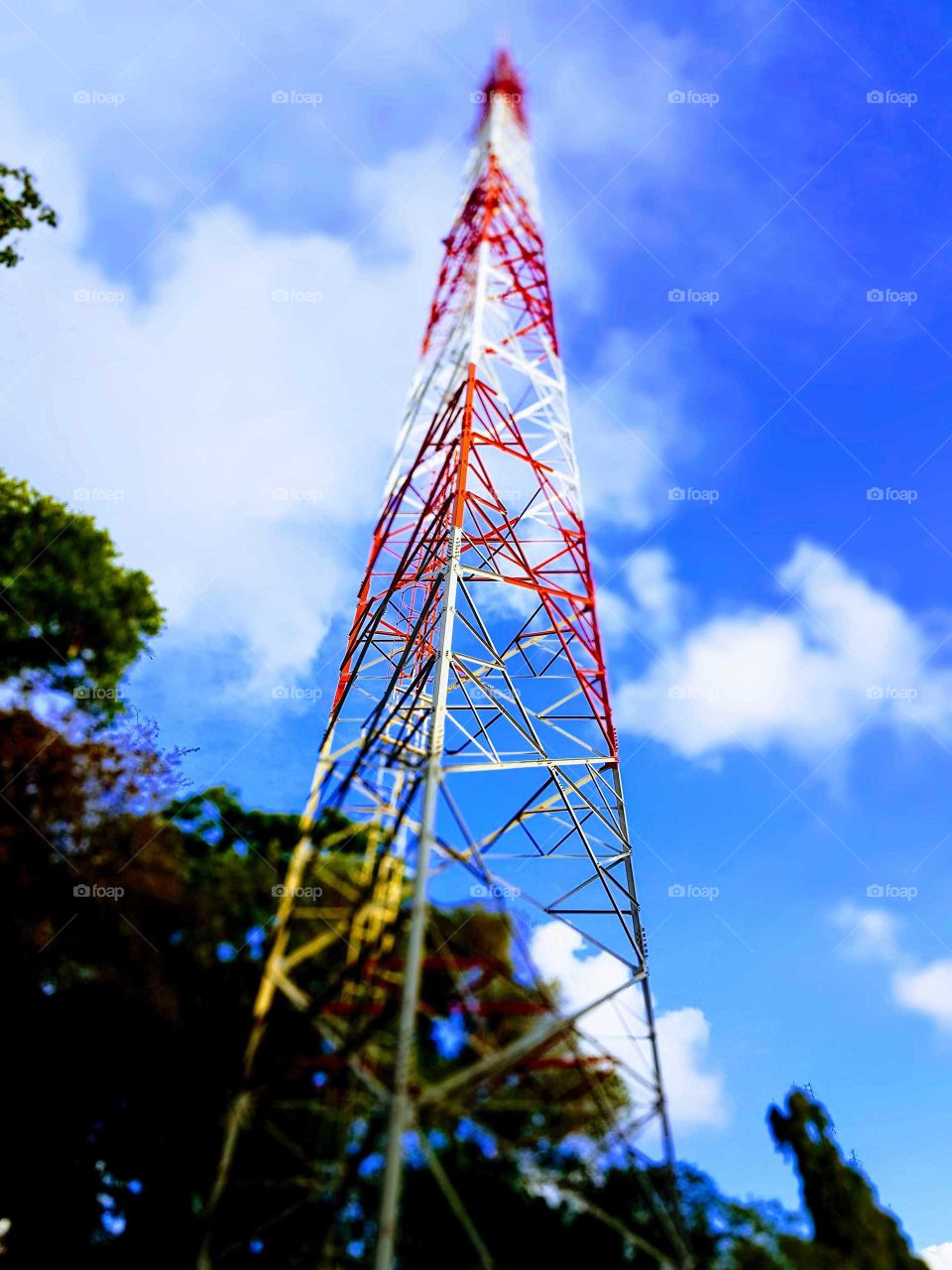 the full view of a cell tower with the blue skies behind it and the lush green trees also framing it.