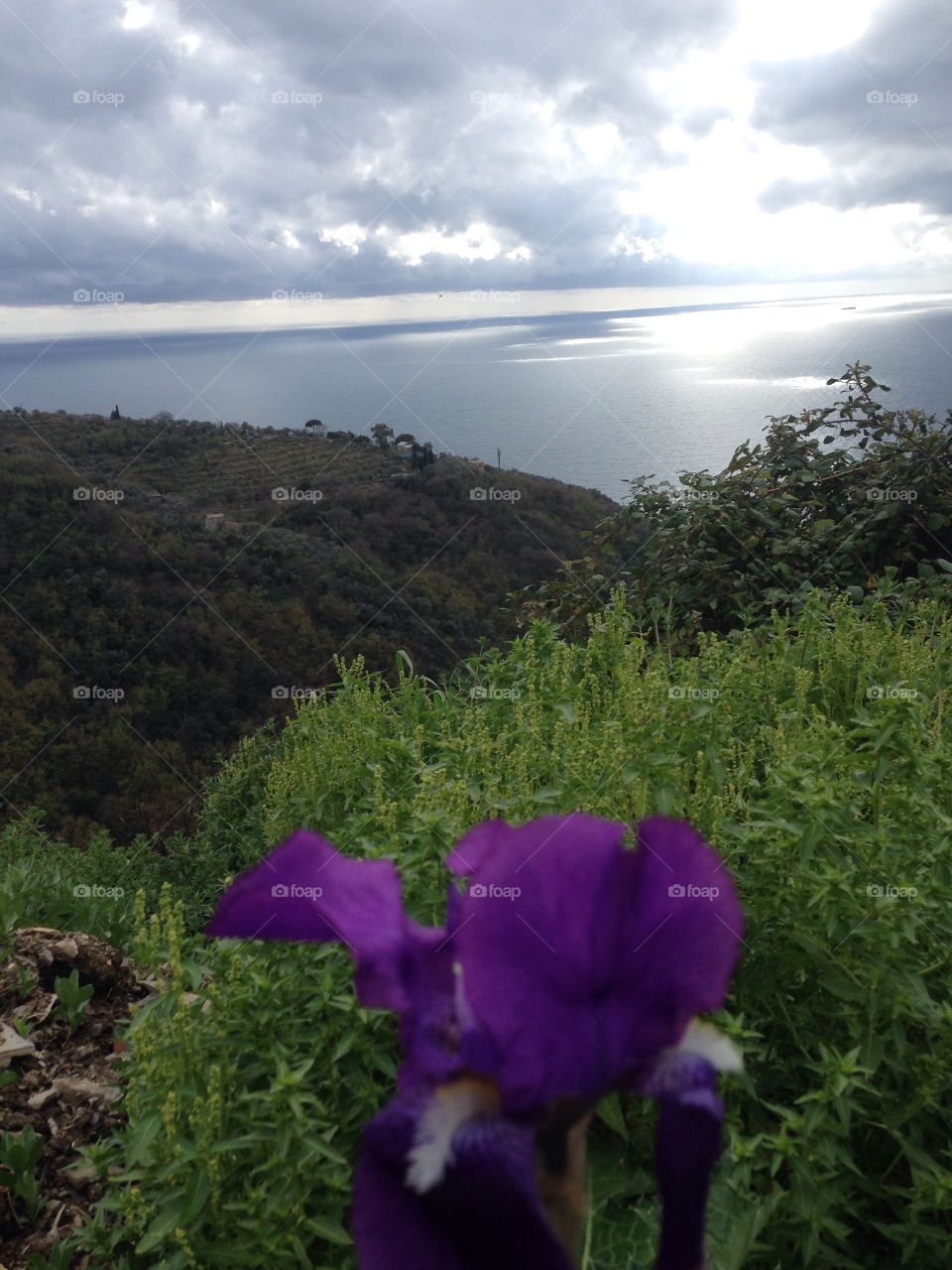 San Apollinare Liguria