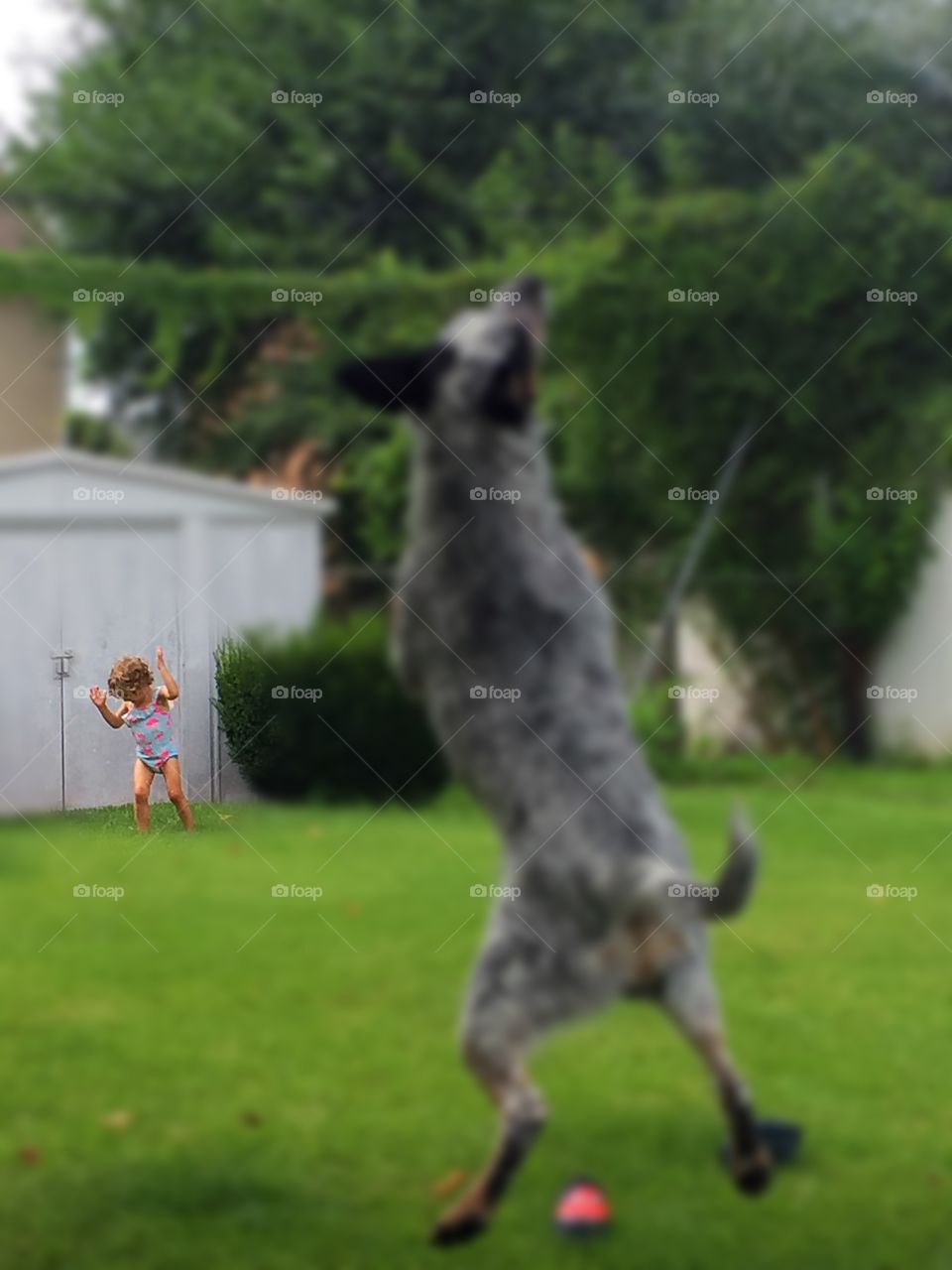 Oh no! We're under attack!