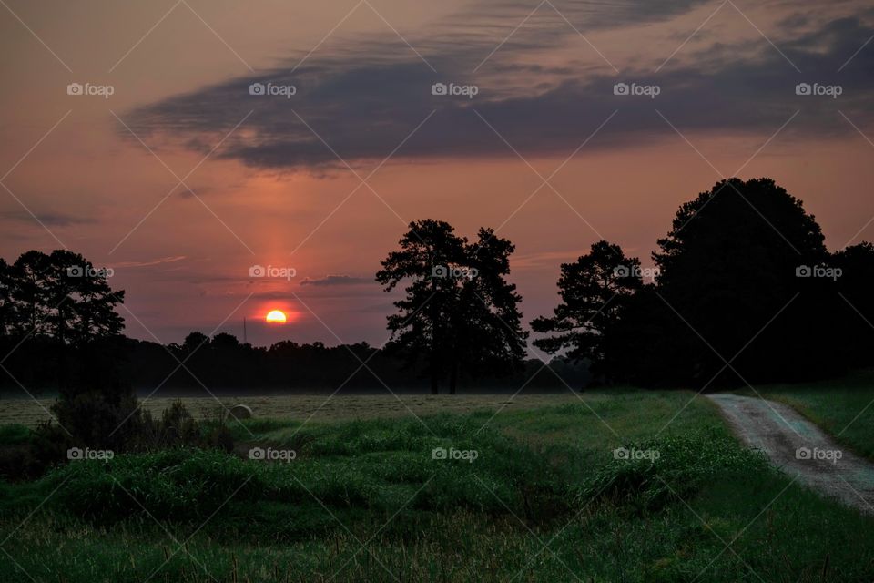 Foap, Cities and Countrysides: Sun begins to peek over the horizon as seen from the fields of North Carolina. 