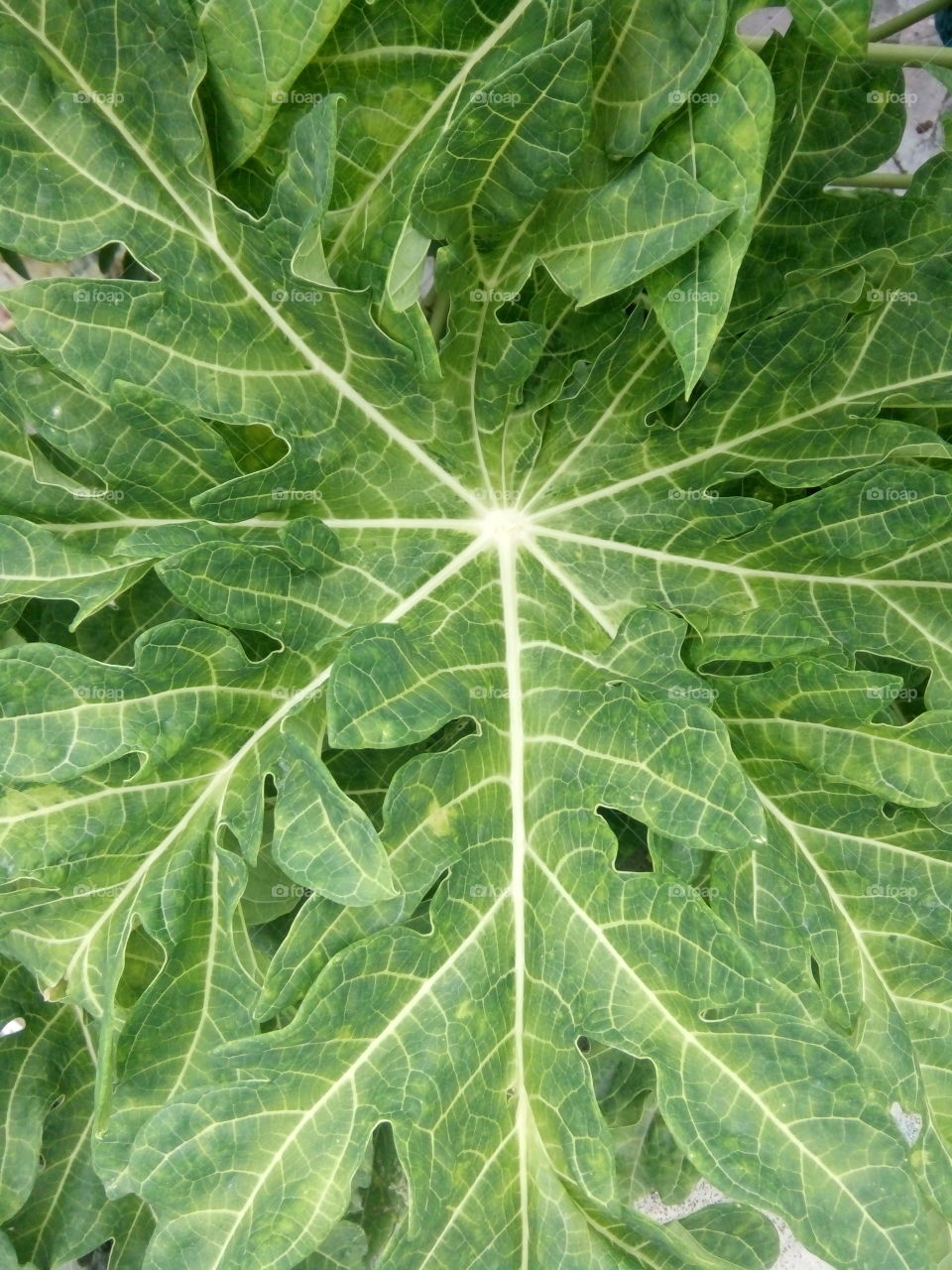 A great photo, a photo for everyone,a memorable photo,a no. photo,a photo to cherish,a beautiful photo,a great photo for the best people,an evergreen photo,a photo to remember for years, the best result of great photography