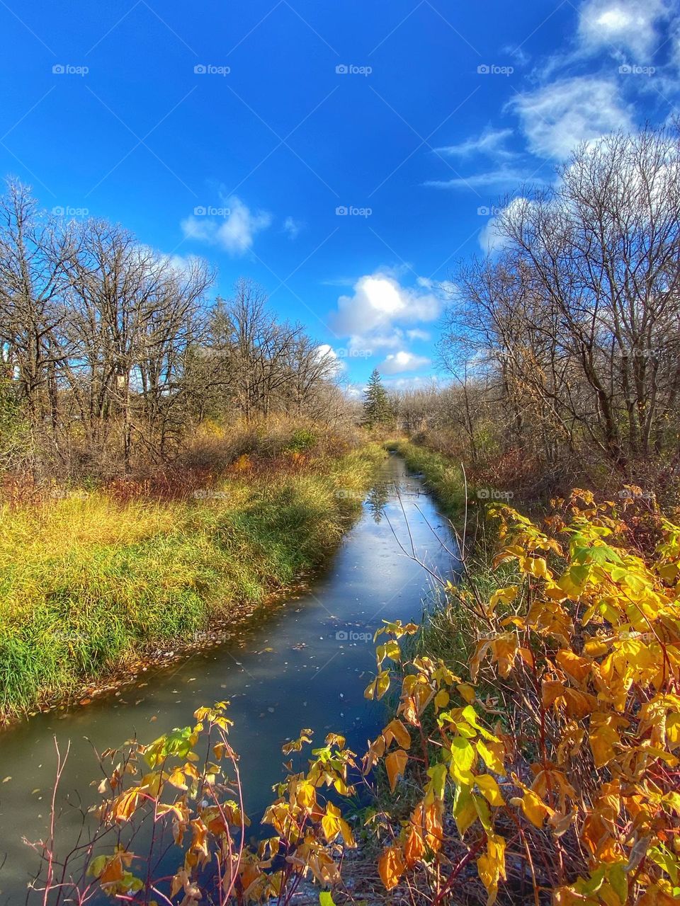 Peaceful creek in the changing season 
