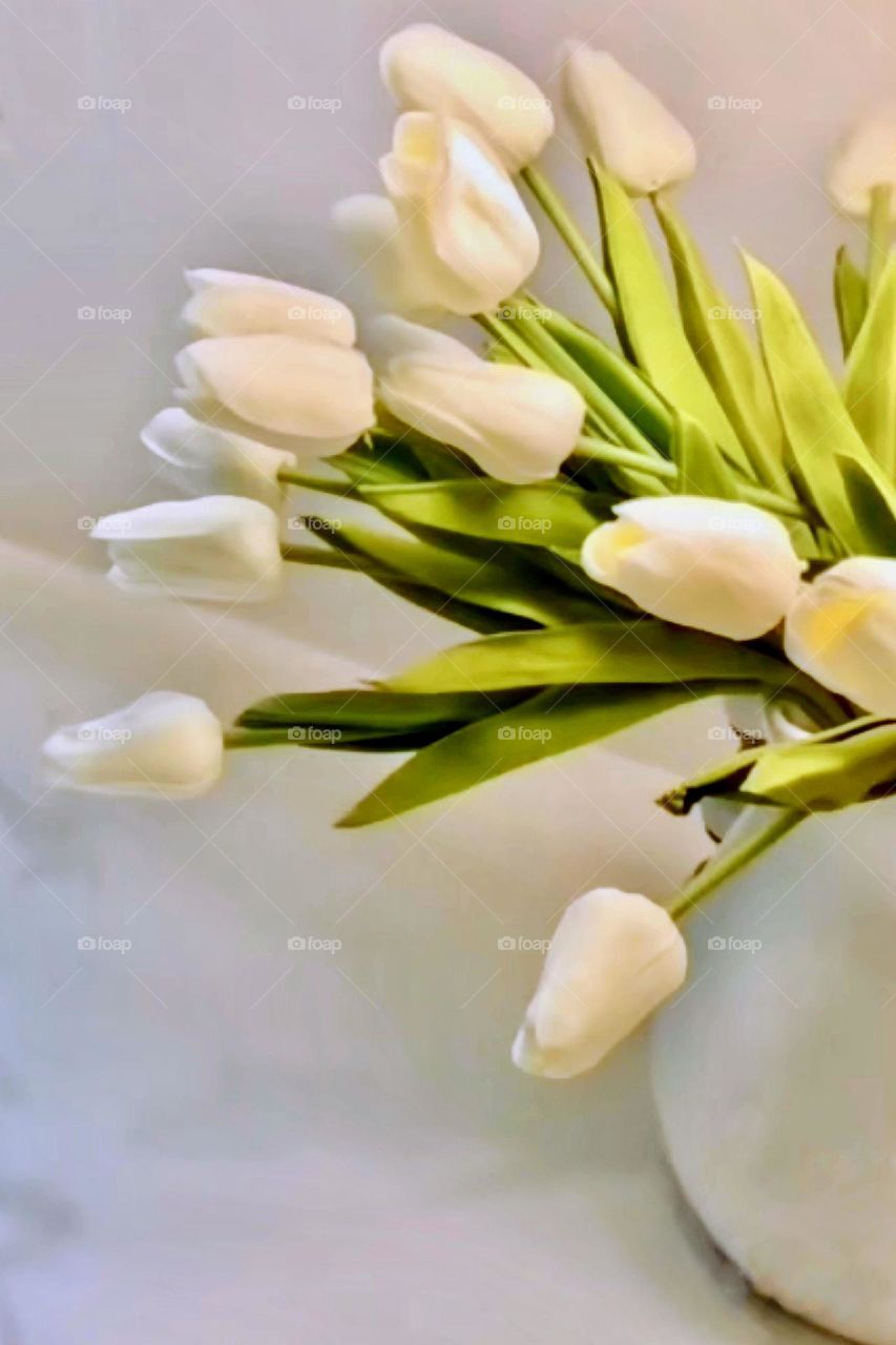 White Tulips